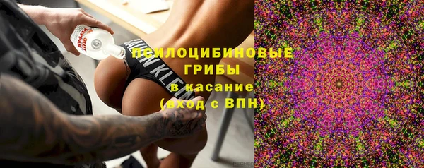 MESCALINE Бородино